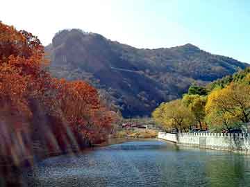 大三巴一肖二码最准，除油器